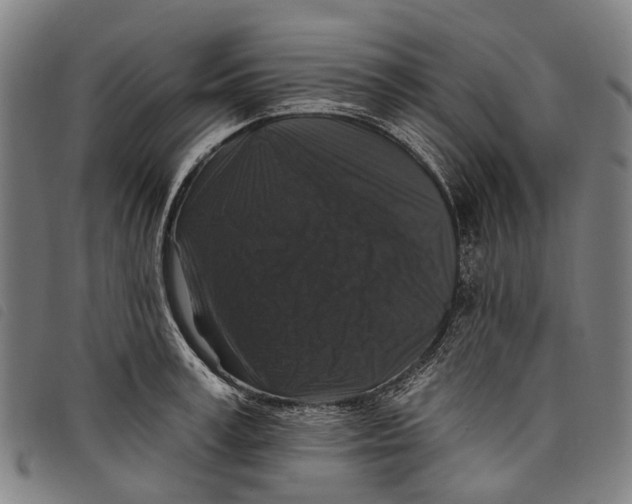 X0000097850995200804041502