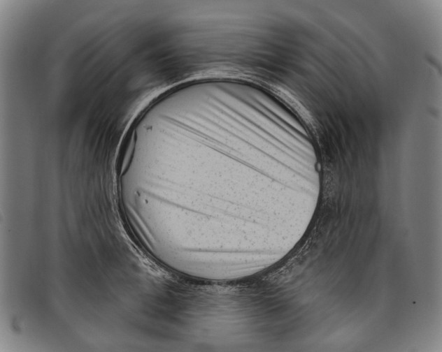 X0000097850996200804041502