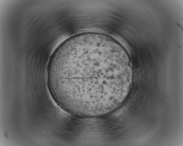 X0000097850999200804041502