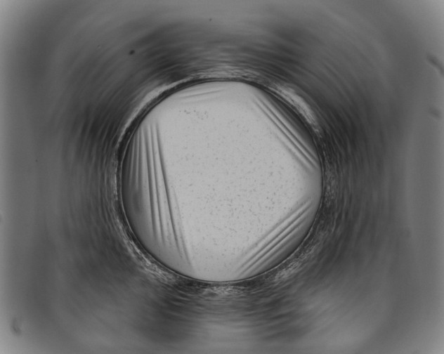 X0000097851000200804041502