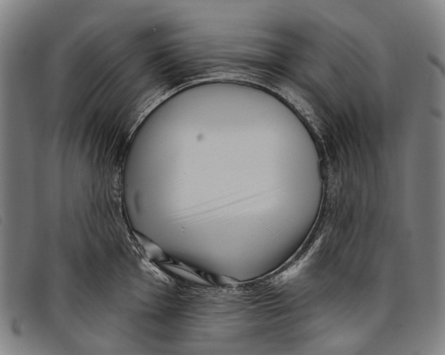 X0000097851001200804041502