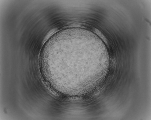 X0000097851002200804041502