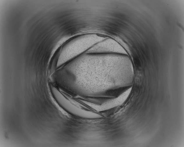 X0000097851005200804041502