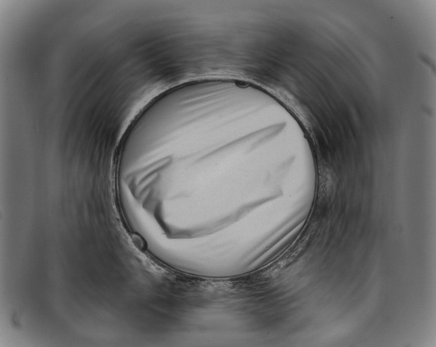 X0000097851006200804041502