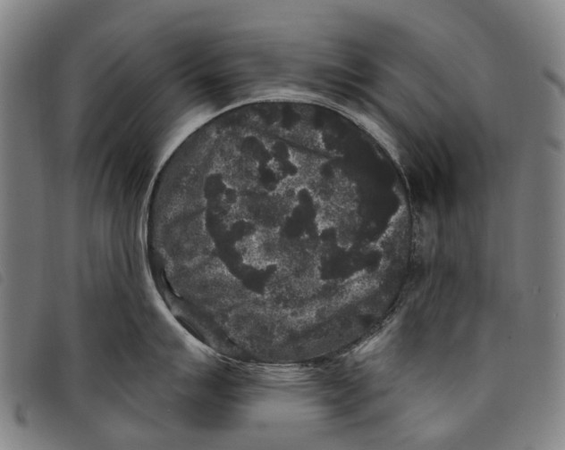 X0000097851007200804041502