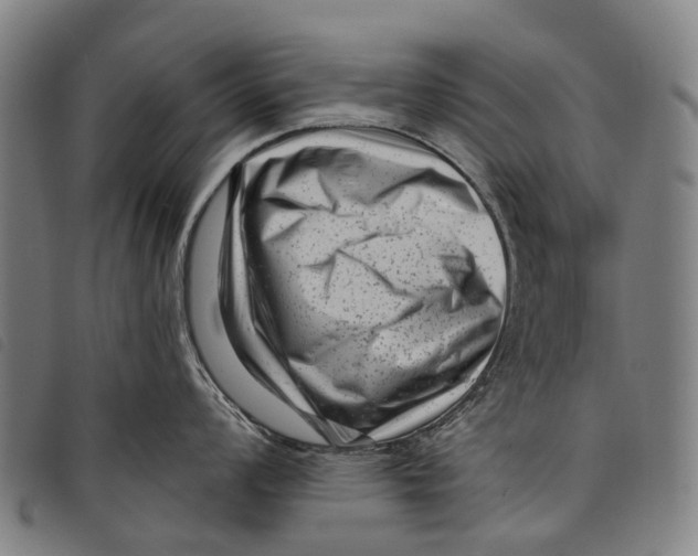 X0000097851008200804041502