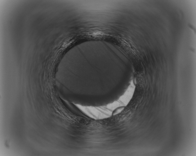 X0000097851009200804041501