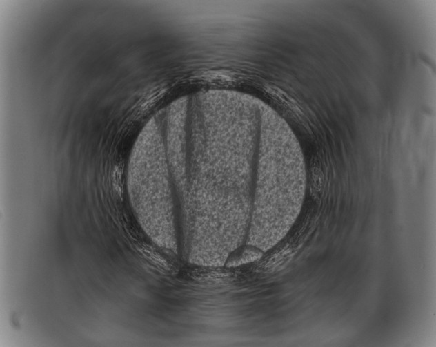 X0000097851010200804041501