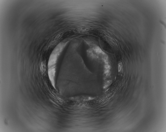 X0000097851011200804041501