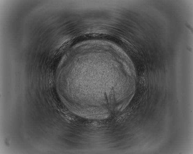 X0000097851014200804041501