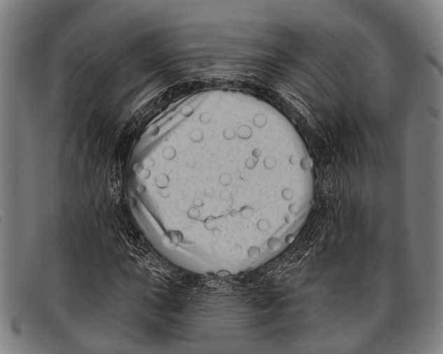 X0000097851015200804041501