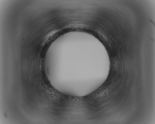 X0000097851016200804041501