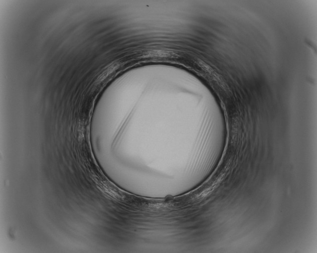 X0000097851017200804041501