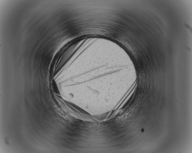 X0000097851020200804041501