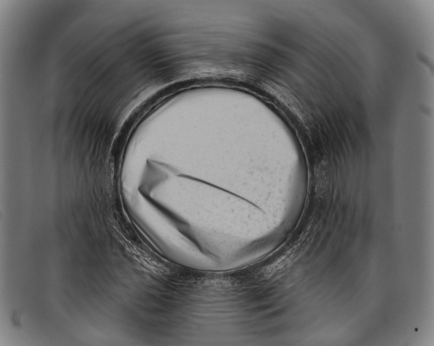 X0000097851021200804041501