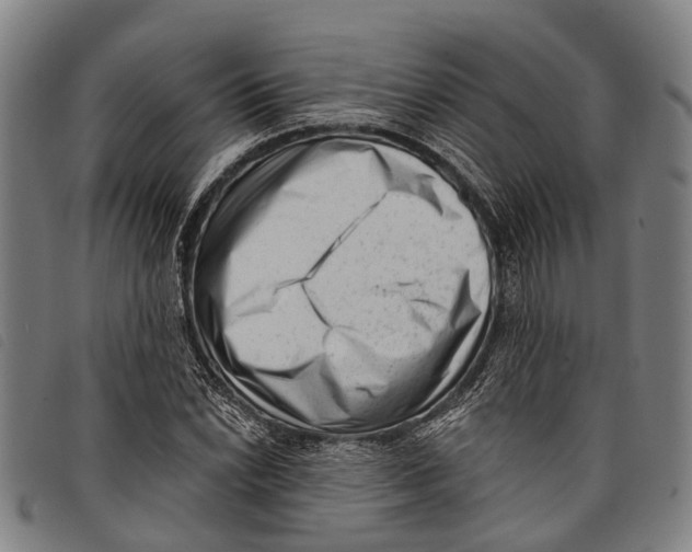 X0000097851022200804041501