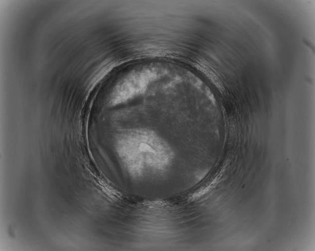 X0000097851023200804041501