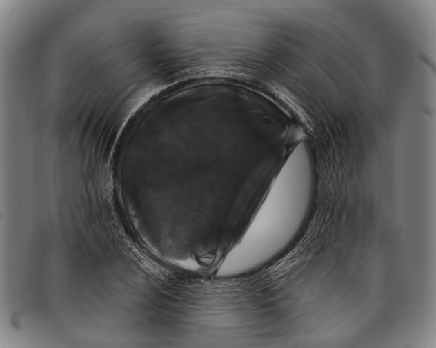 X0000097851024200804041501