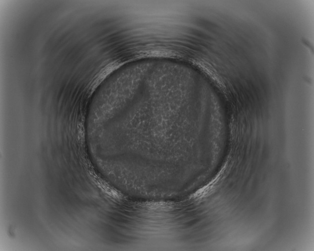 X0000097851025200804041501