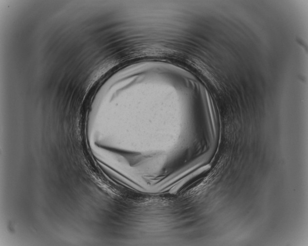 X0000097851026200804041501