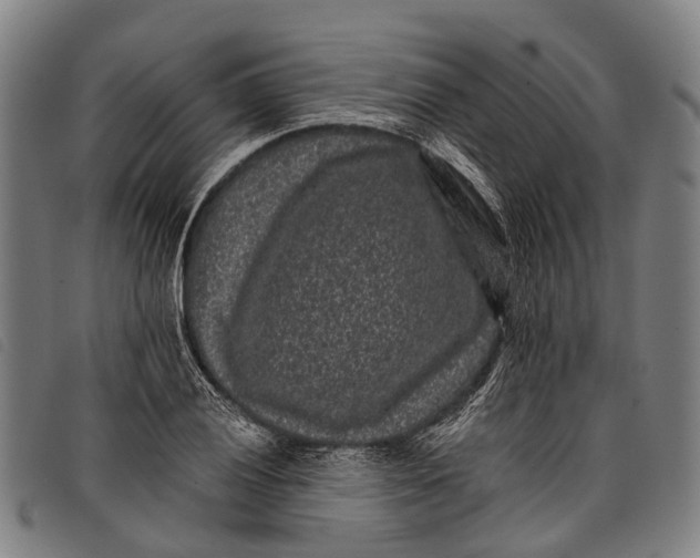 X0000097851028200804041501