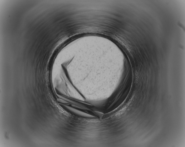 X0000097851029200804041501