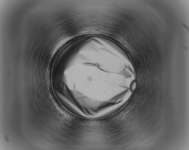 X0000097851030200804041501