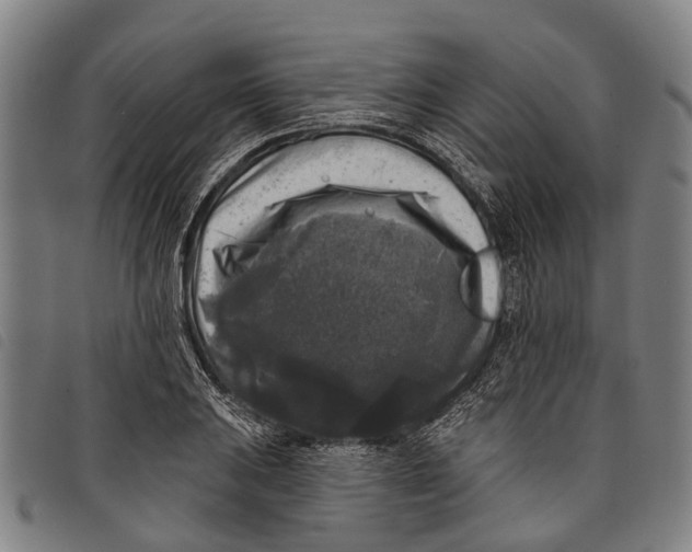 X0000097851031200804041501