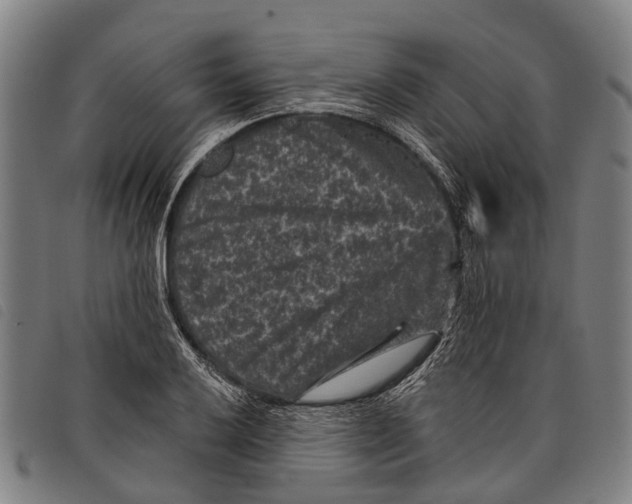 X0000097851032200804041501