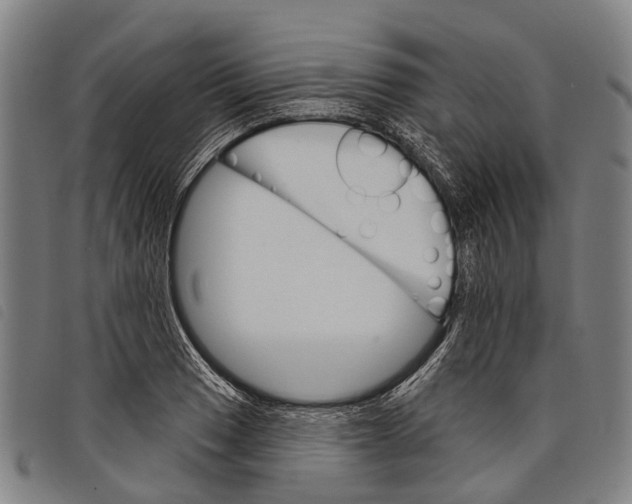 X0000097851033200804041501