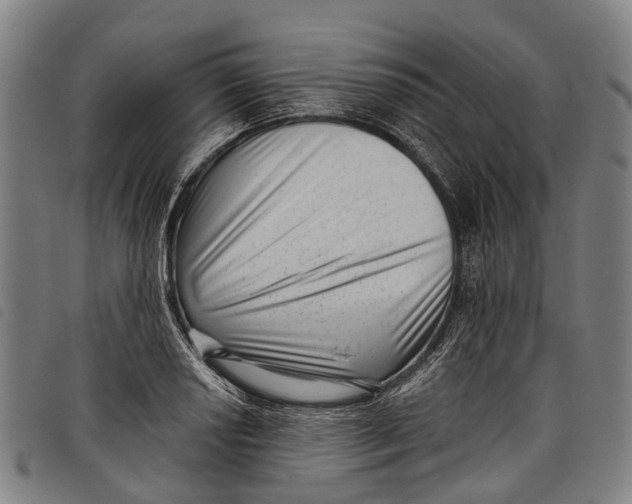 X0000097851034200804041501