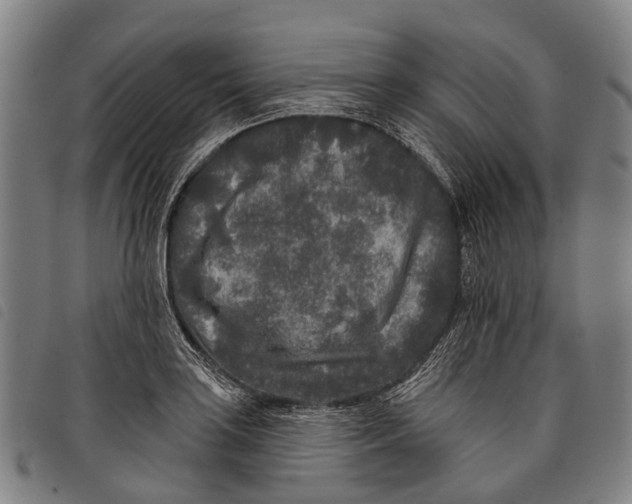 X0000097851035200804041501