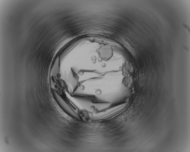 X0000097851036200804041501