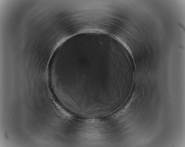 X0000097851037200804041501