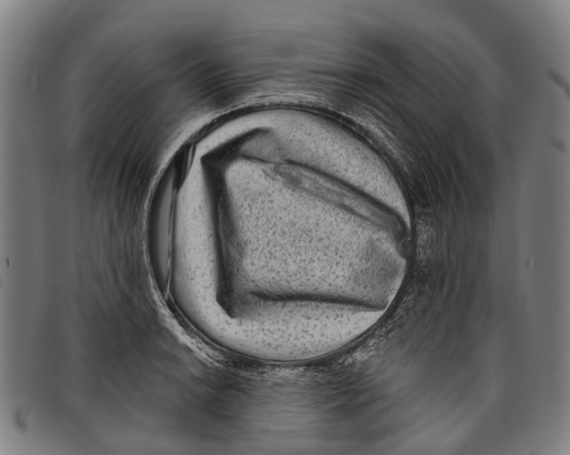 X0000097851038200804041501