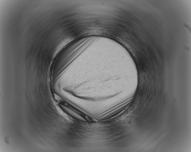 X0000097851042200804041501