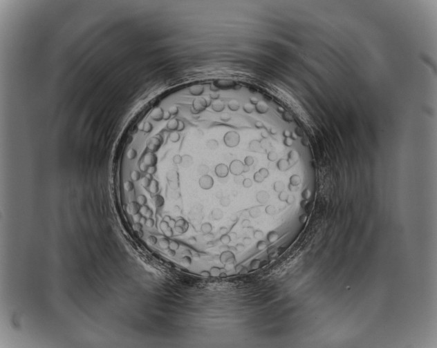 X0000097851043200804041501