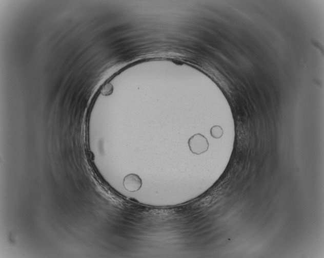 X0000097851044200804041501