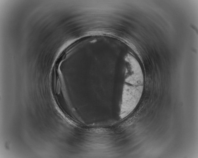 X0000097851045200804041501