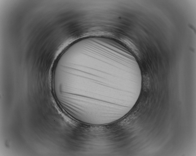 X0000097851046200804041501