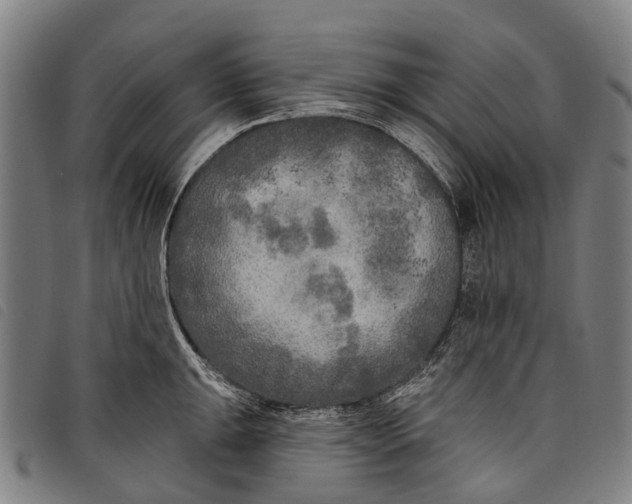 X0000097851047200804041501