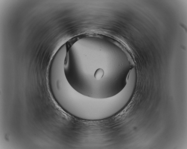 X0000097851048200804041501