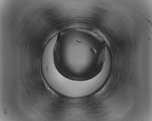 X0000097851049200804041502