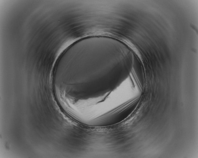 X0000097851053200804041502