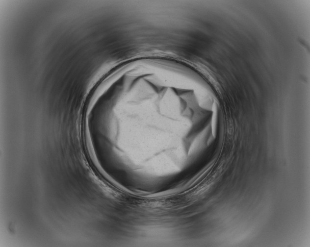 X0000097851054200804041502