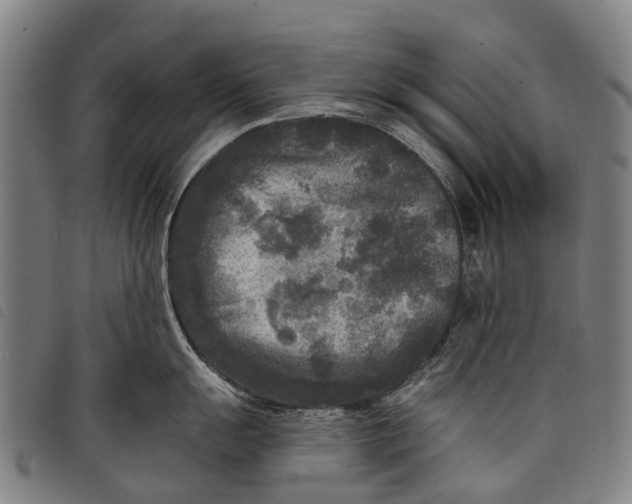 X0000097851055200804041502