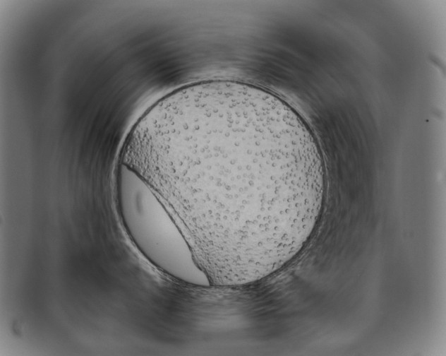 X0000097851056200804041502