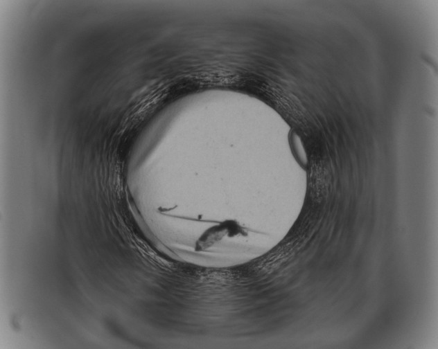 X0000097851058200804041501