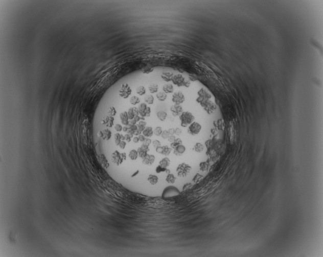 X0000097851059200804041501