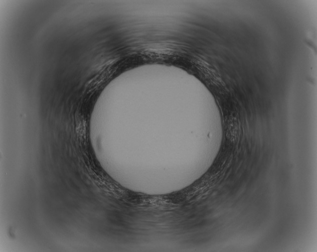 X0000097851061200804041501